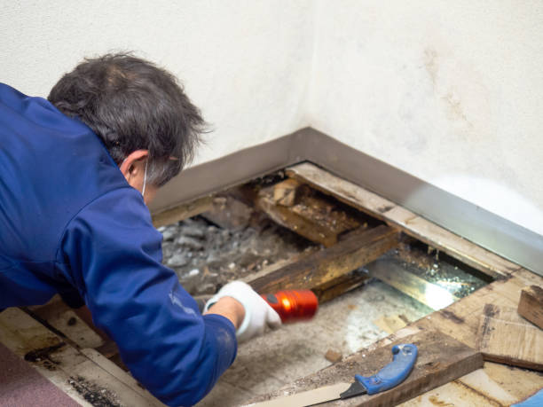 Best Crawl Space Mold Remediation in Ballinger, TX