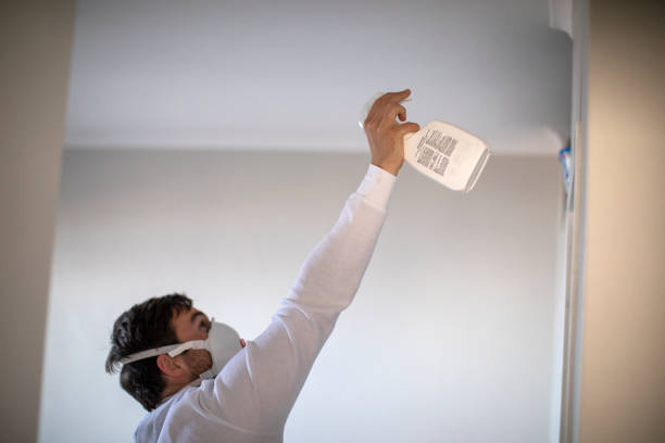 Best Mold Testing and Inspection Services in Ballinger, TX
