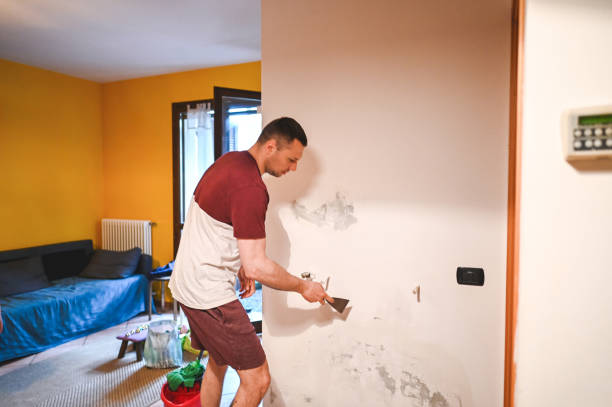 Best Emergency Mold Remediation in Ballinger, TX
