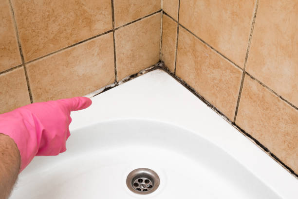 Best Preventive Mold Services in Ballinger, TX